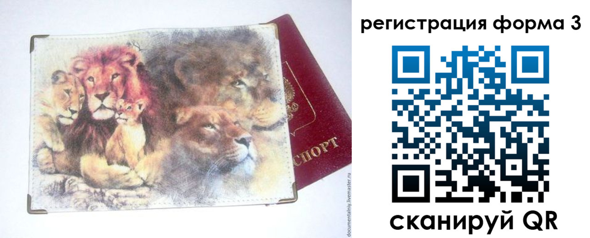 прописка в квартире в Александровске